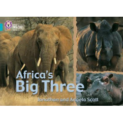 Africa's Big Three