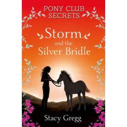 Storm and the Silver Bridle