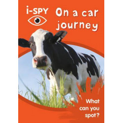 i-SPY On a car journey