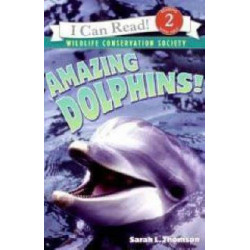 Amazing Dolphins!