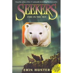 Seekers #5: Fire in the Sky