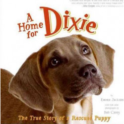 A Home For Dixie