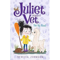 The Big Flood: Juliet, Nearly a Vet (Book 11)