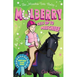 The Meadow Vale Ponies: Mulberry Gets up to Mischief