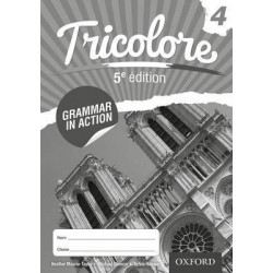 Tricolore 5e edition: Grammar in Action 4 (8 Pack)