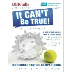 DK Braille It Can't Be True