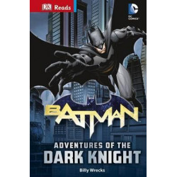 DC Comics Batman Adventures of the Dark Knight