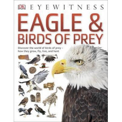 Eagle & Birds of Prey