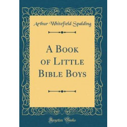 A Book of Little Bible Boys (Classic Reprint)