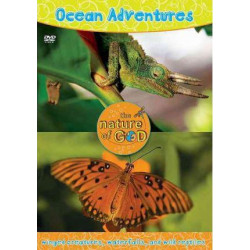 Ocean Adventures: Ocean Adventures, Volume 3 Winged Creatures, Waterfalls, and Wild Reptiles v. 3