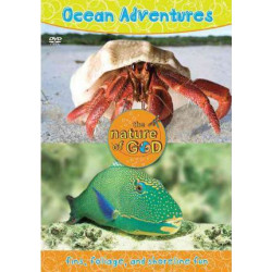 Ocean Adventures: Ocean Adventures, Volume 2 Fins, Foliage, and Shoreline Fun v. 2