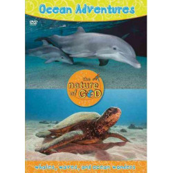 Ocean Adventures: Ocean Adventures, Volume 1 Whales, Waves, and Ocean Wonders v. 1