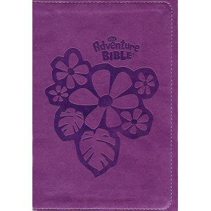 NIrV, Adventure Bible for Early Readers, Imitation Leather, Purple, Full Color