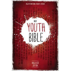 NIrV, Youth Bible, Anglicised Edition, Hardcover