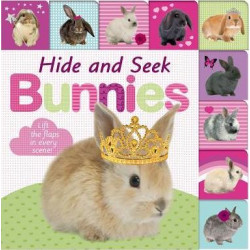 Lift-The-Flap Tab: Hide and Seek Bunnies