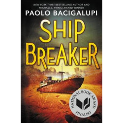 Ship Breaker