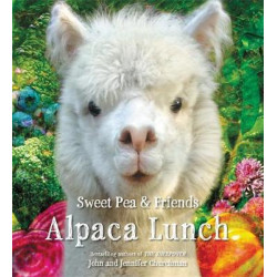 Alpaca Lunch