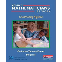 Young Mathematicians at Work: Constructing Algebra