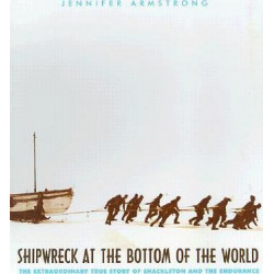 Shipwreck At The Bottom Of The World