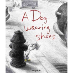 A Dog Wearing Shoes, A