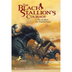 Black Stallion's Courage