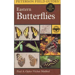 Field Guide to Eastern Butterflies