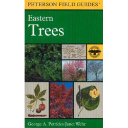 Field Guide to Eastern Trees