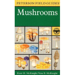 Field Guide to Mushrooms