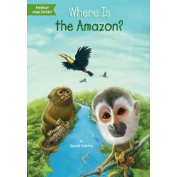 Where Is the Amazon?
