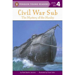 Civil War Sub: the Mystery of