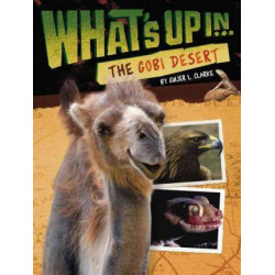 What's Up In The Gobi Desert