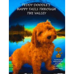 Teddy Doodle's Happy Tails Through the Valley
