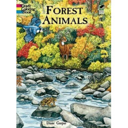 Forest Animals Colouring Book