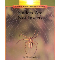 Spiders Are Not Insects