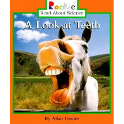 A Look at Teeth