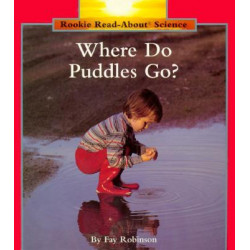 Where Do Puddles Go?