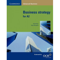 Business Strategy for A2