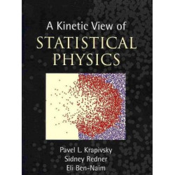A Kinetic View of Statistical Physics