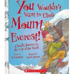 You Wouldn't Want to Climb Mount Everest!