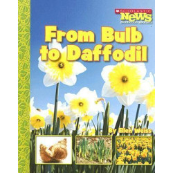 From Bulb to Daffodil