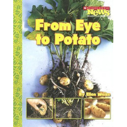 From Eye to Potato