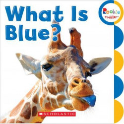 What Is Blue?