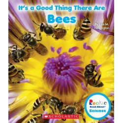 It's a Good Thing There Are Bees