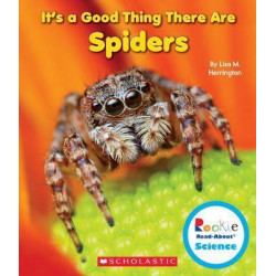 It's a Good Thing There Are Spiders