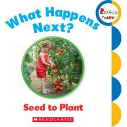What Happens Next? Seed to Plant