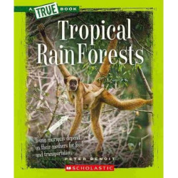 Tropical Rain Forests