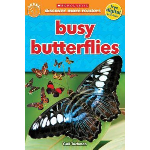 Busy Butterflies