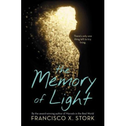 The Memory of Light