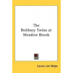 The Bobbsey Twins at Meadow Brook