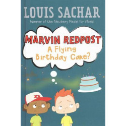 Marvin Redpost #6: A Flying Birthday Cake?